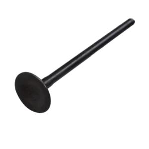 VALVULA ESCAPE  GS-125/ GN-125H ORG SUZUKI