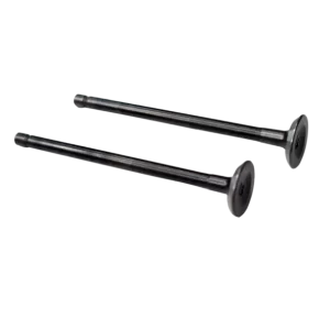 JGO VALVULAS NS 125 ORG