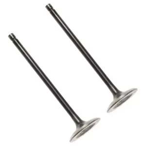 JGO VALVULAS PLATINO 110 ORG