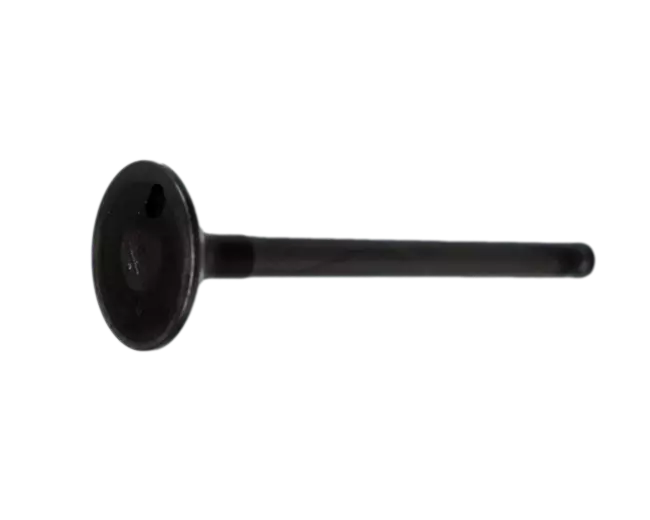 VALVULA ADMISION XTZ-125/YBR-125/LIBERO ORG