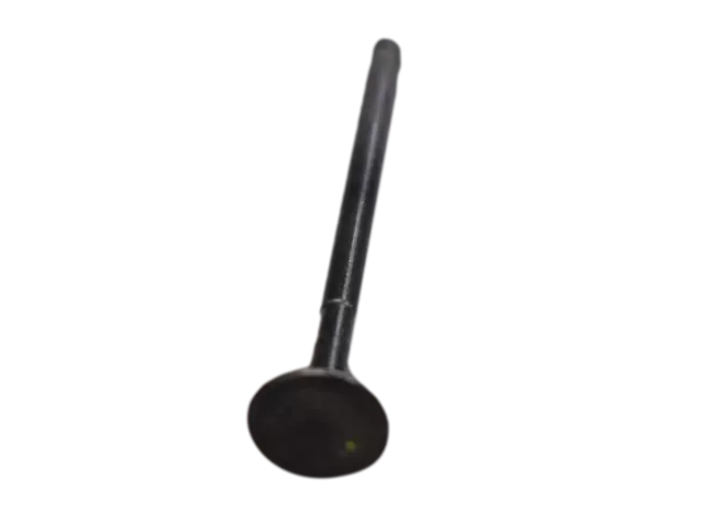 VALVULA ESCAPE DISCOVER100 M ORG