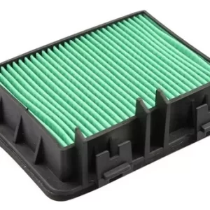 ELEMENTO FILTRO AIRE DUKE-200/250/390 NG ORG